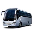 Buses & Microbuses