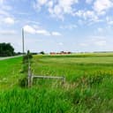 Land & Plots For Rent