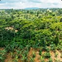 Land & Plots For Sale
