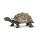 Reptiles