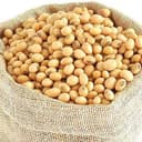 Seeds